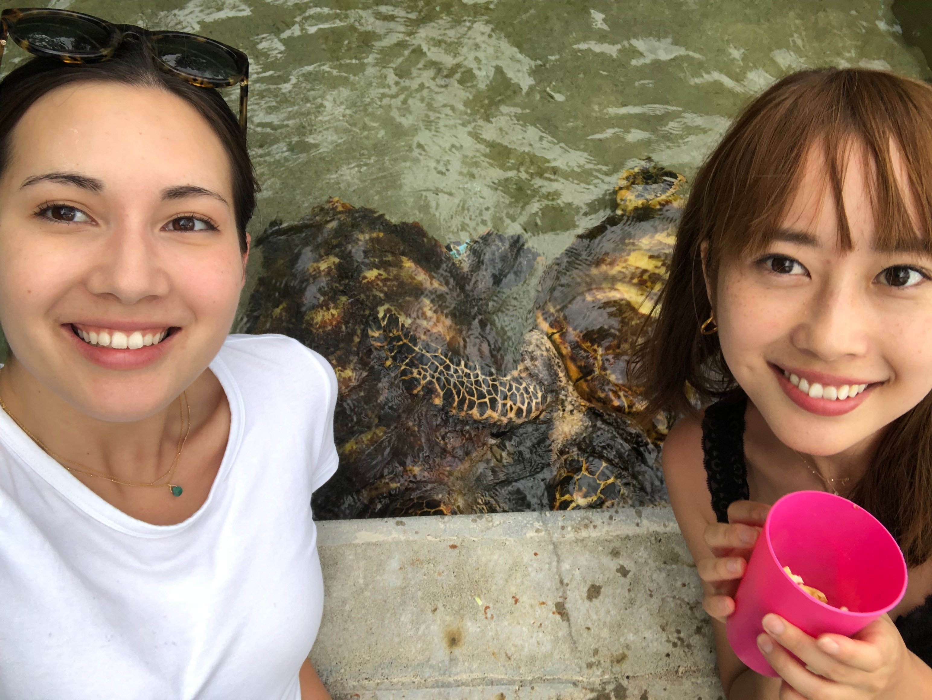 f:id:kaepuff:20190506161004j:image