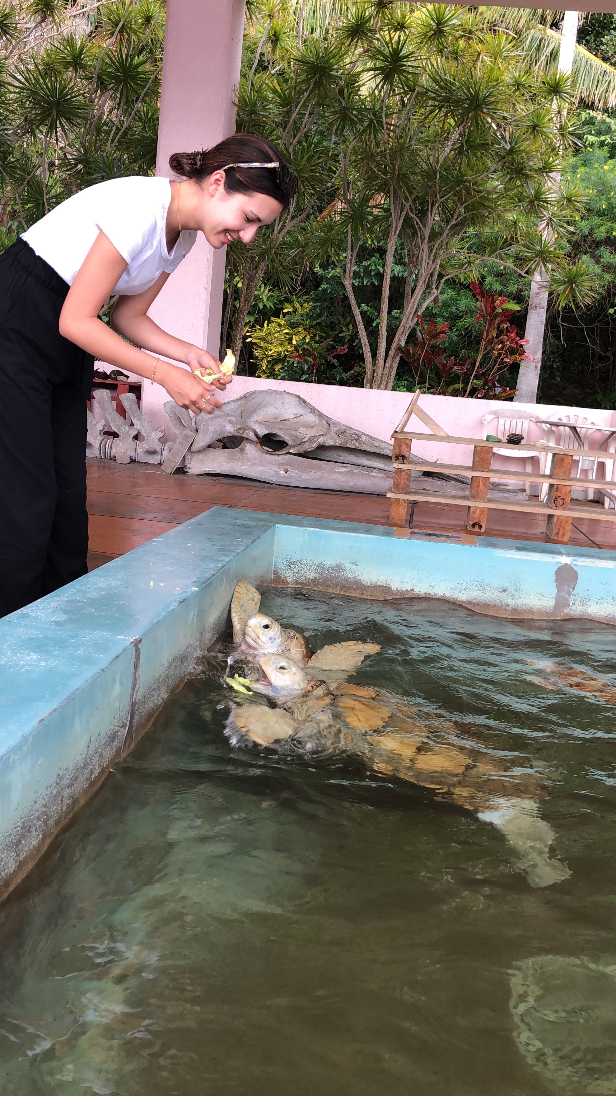 f:id:kaepuff:20190506161013j:image