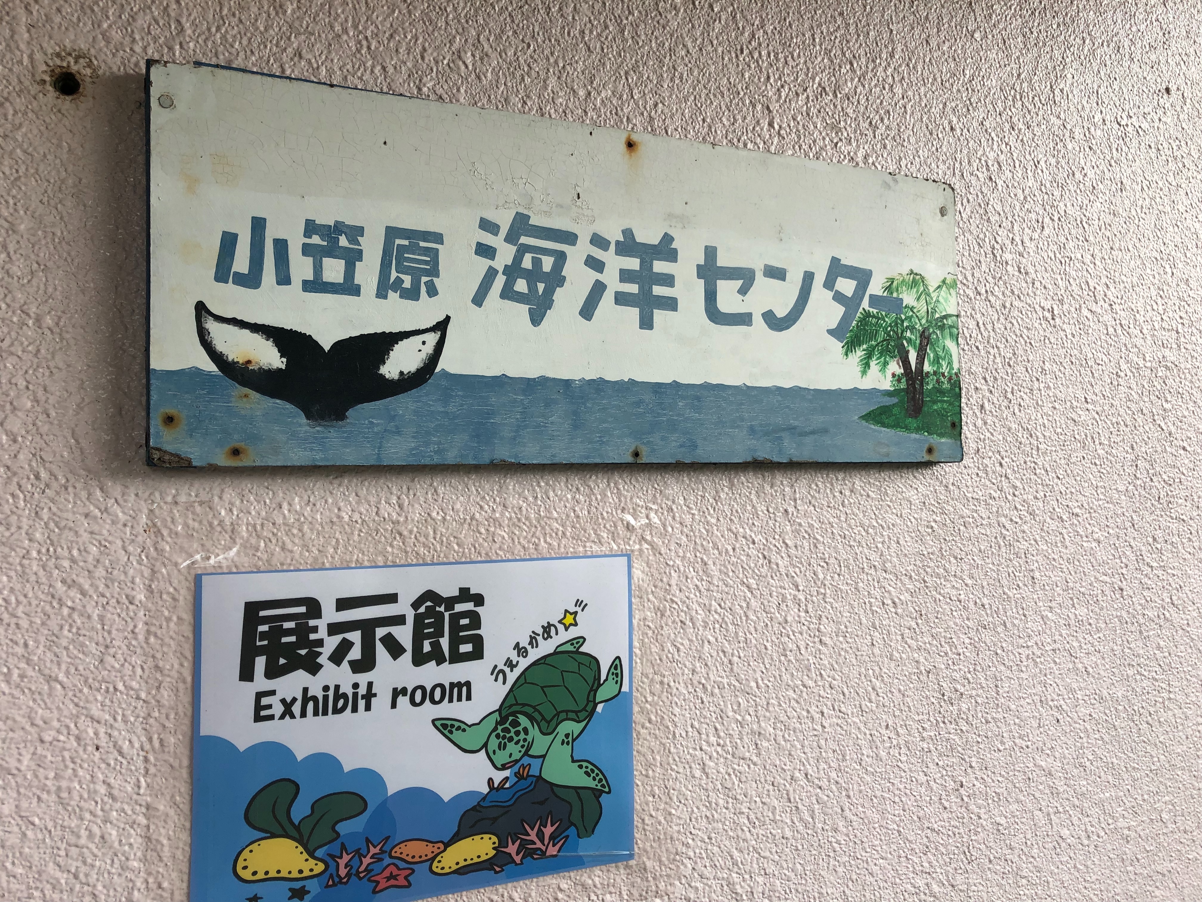 f:id:kaepuff:20190506161252j:image