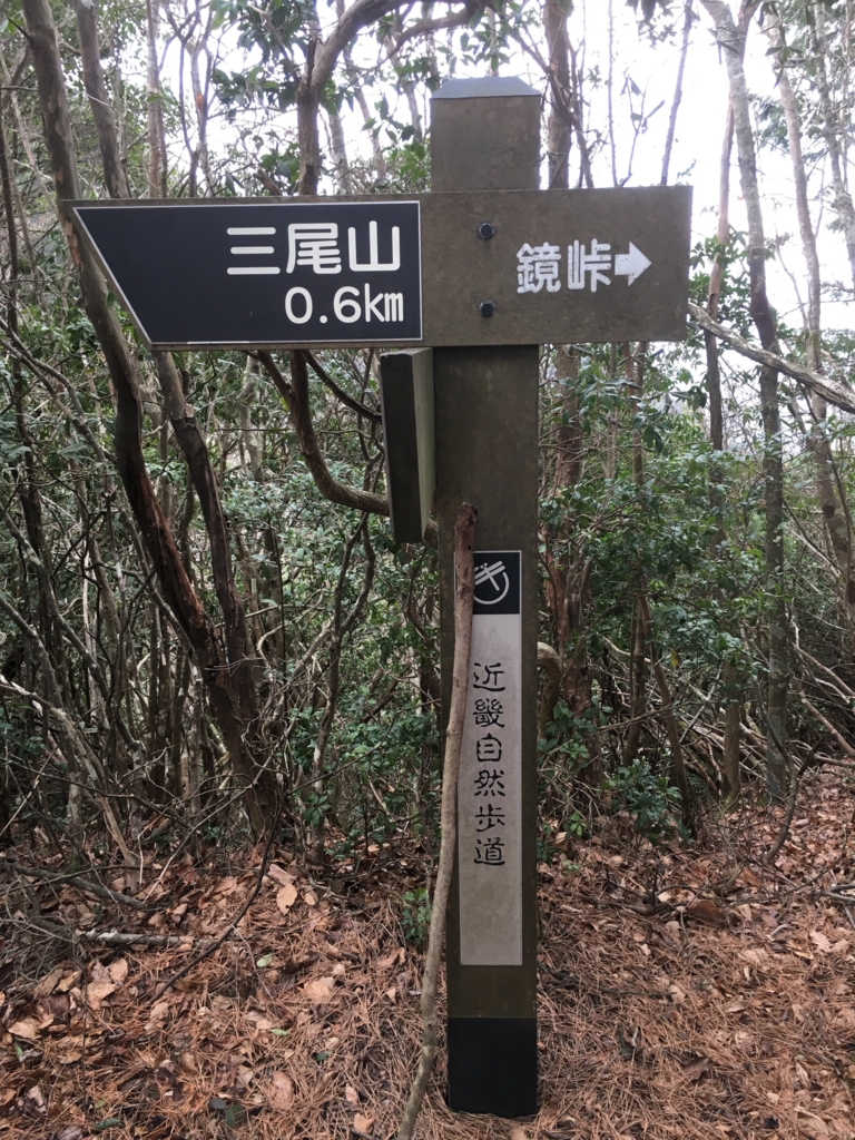 f:id:kaeru-tencho:20170112172325j:plain f:id:kaeru-tencho:20170112172325j:plain