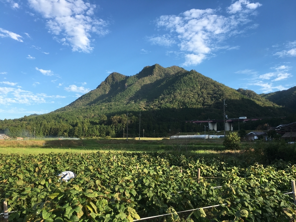 f:id:kaeru-tencho:20181016122151j:plain f:id:kaeru-tencho:20181016122151j:plain