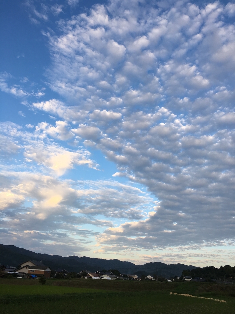 f:id:kaeru-tencho:20181016122716j:plain f:id:kaeru-tencho:20181016122716j:plain