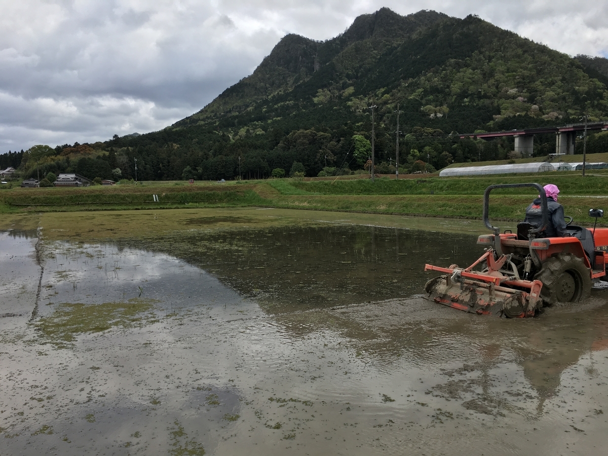 f:id:kaeru-tencho:20190501133217j:plain f:id:kaeru-tencho:20190501133217j:plain