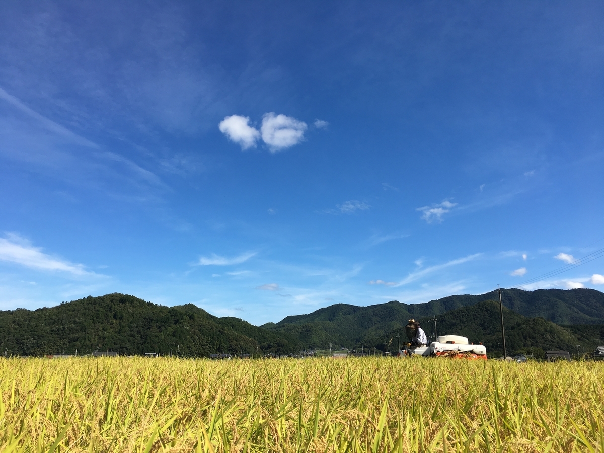 f:id:kaeru-tencho:20190909162942j:plain