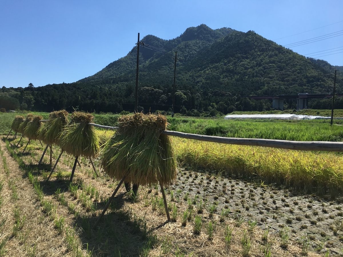 f:id:kaeru-tencho:20190917103436j:plain