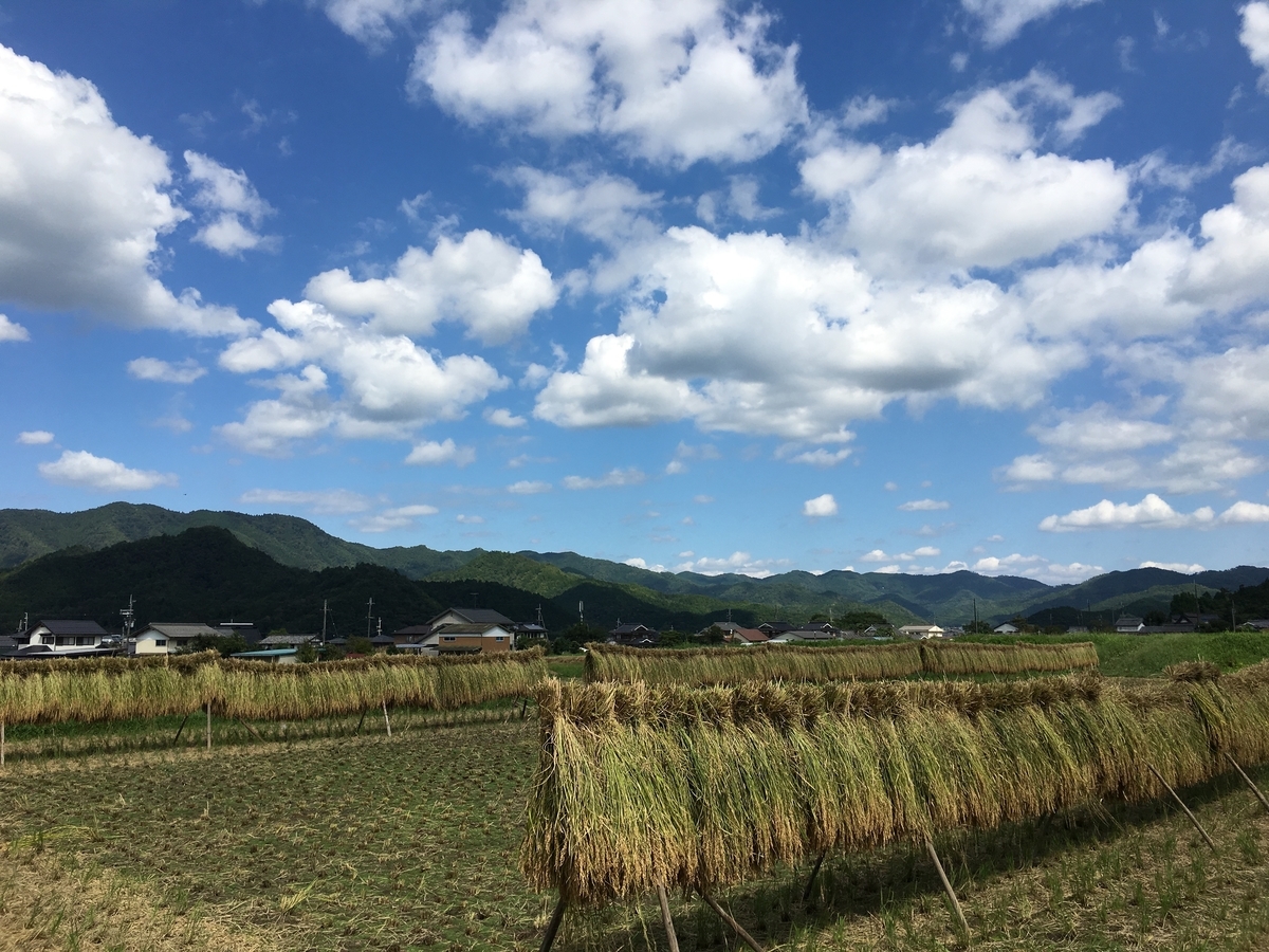 f:id:kaeru-tencho:20190917110127j:plain