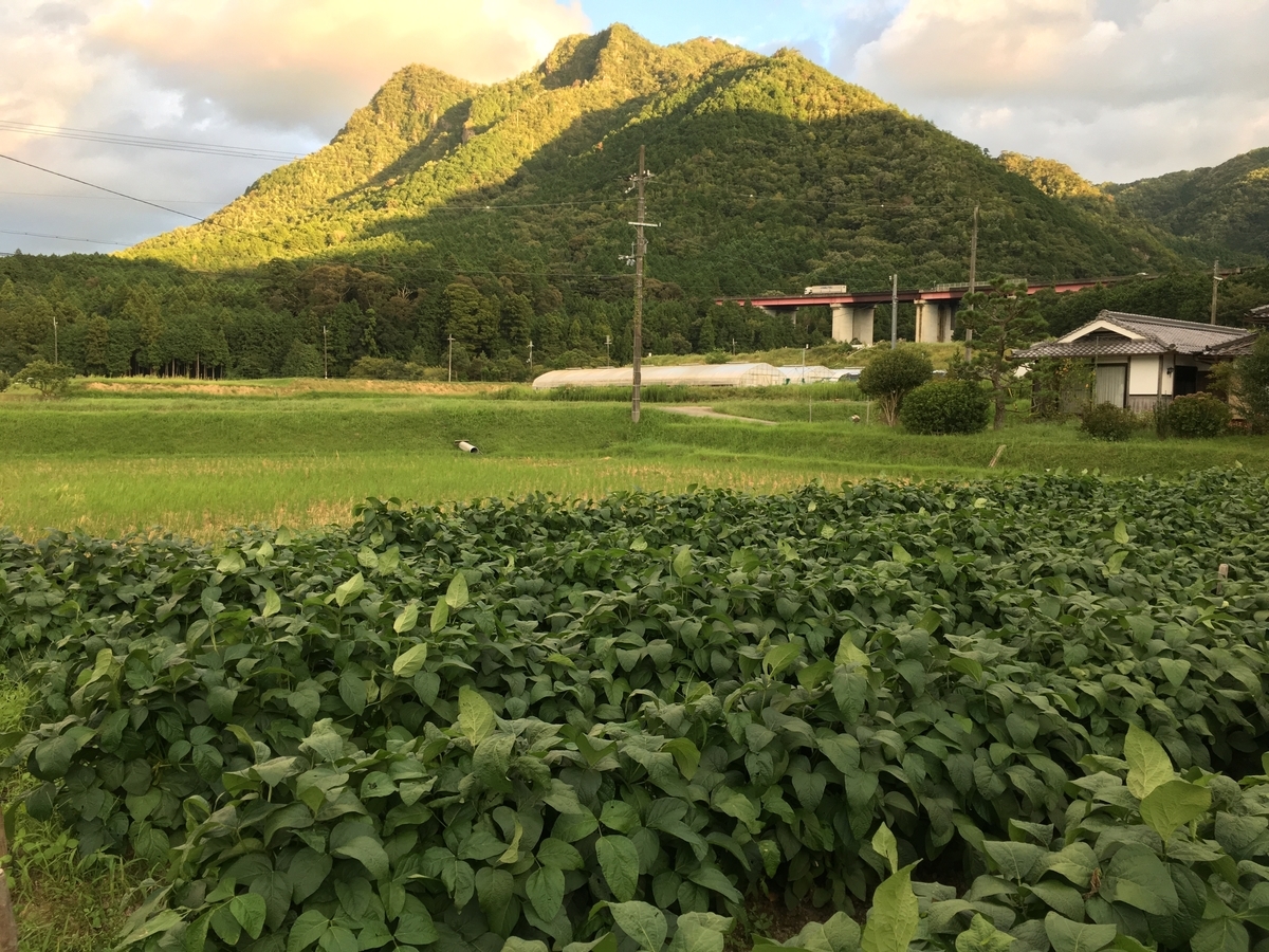 f:id:kaeru-tencho:20190919104332j:plain