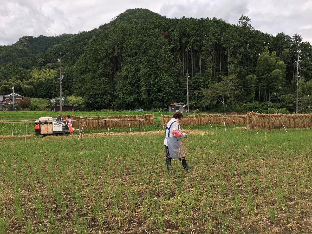 f:id:kaeru-tencho:20200916193013j:plain