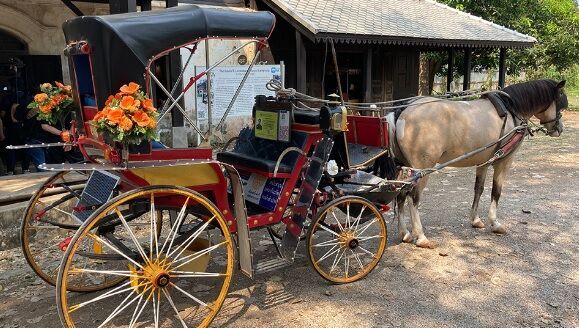 花馬車画像