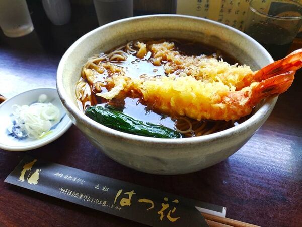 2024神奈川県箱根町旅行記ブログ・はつ花そば本店の天ぷらそば