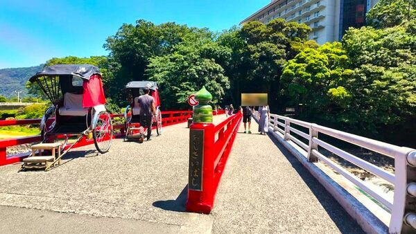 2024神奈川県箱根町旅行記ブログ・あじさい橋