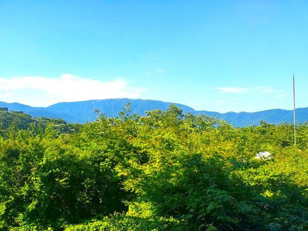 2024神奈川県箱根町強羅花扇宿泊記ブログ・客室のテラスからの景色