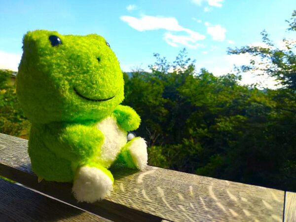 2024神奈川県箱根町強羅花扇宿泊記ブログ・客室のテラスとかえるくん
