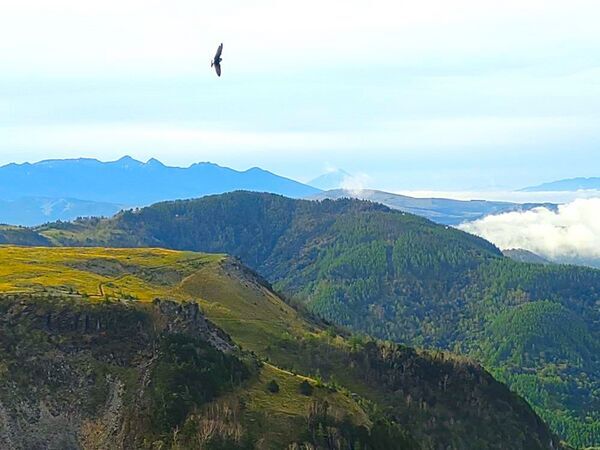王ヶ頭ホテルの南側14畳和室からうっすら見える富士山