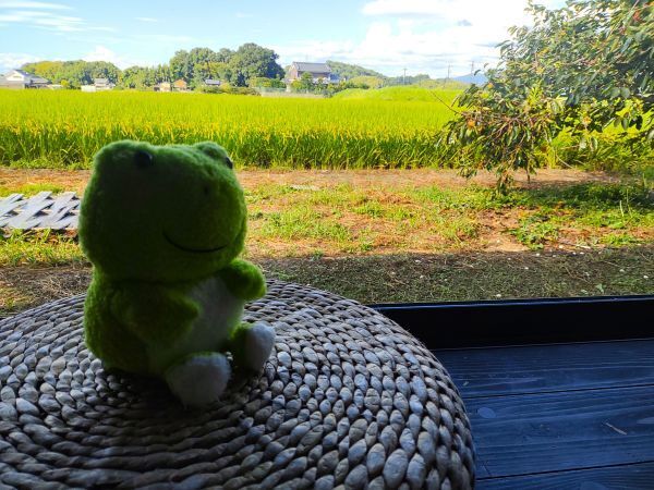 2024奈良県明日香村宿泊記ブログ・あすか癒俚の里森羅塾の 部屋からの景色とかえるくん