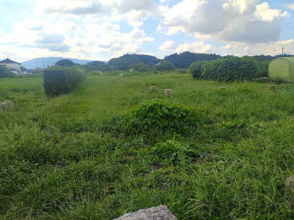2024奈良県明日香村旅行記ブログ・ 飛鳥宮跡は整備されていない