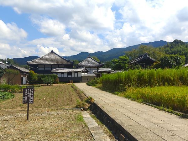 2024奈良県明日香村旅行記ブログ・ 飛鳥寺