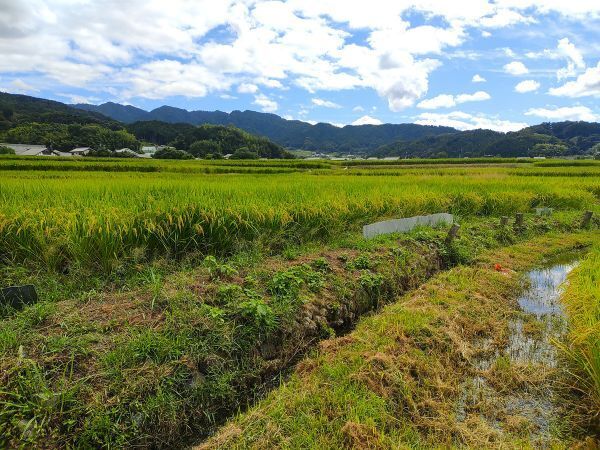 2024奈良県明日香村旅行記ブログ・ 明日香村の田園風景4