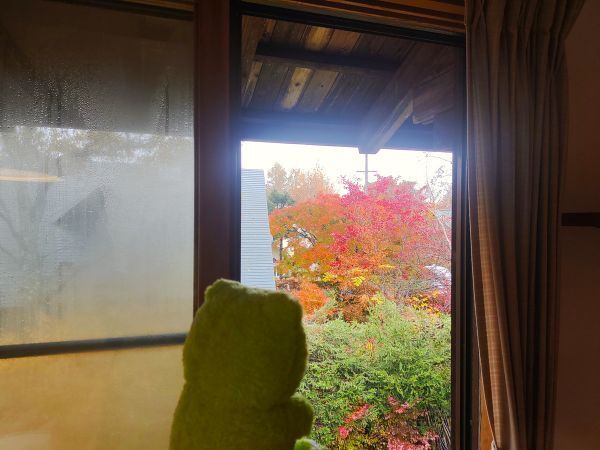 2024長野県長野市宿泊記ブログ・ペンションスケッチブックの客室から紅葉をみるかえるくん