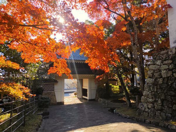2024愛知県田原市旅行記ブログ・田原市博物館・田原城跡の紅葉
