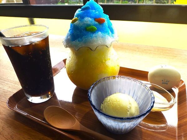 2024愛知県佐久島旅行記ブログ・サクカフェaohanaでいただいた金魚鉢かき氷