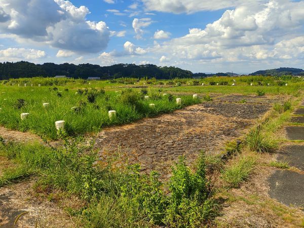 2024奈良県明日香村旅行記ブログ・ 飛鳥宮跡2