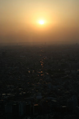 f:id:kaeru_geko:20080211202414j:image f:id:kaeru_geko:20080211202414j:image
