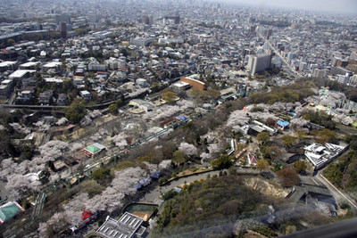 f:id:kaeru_geko:20080404230921j:image