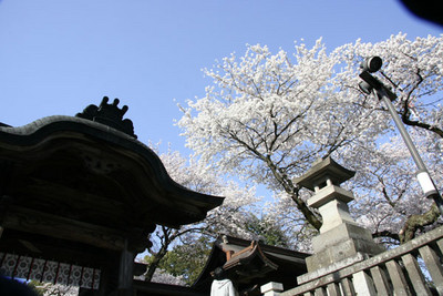 f:id:kaeru_geko:20080406004743j:image
