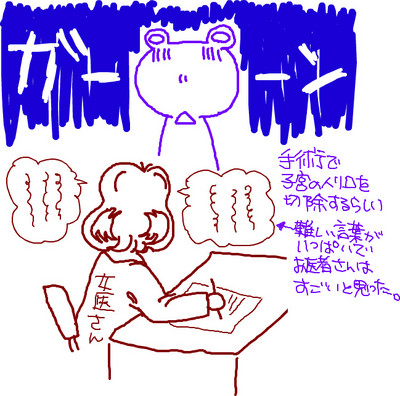 f:id:kaeru_geko:20080423155153j:image