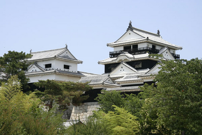 f:id:kaeru_geko:20080607005150j:image