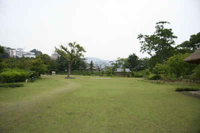 f:id:kaeru_geko:20080607234227j:image