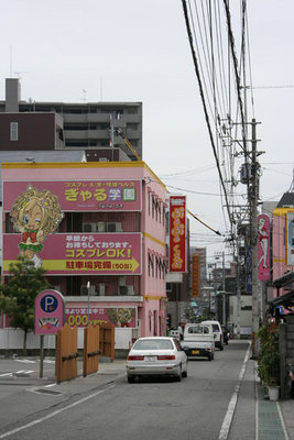 f:id:kaeru_geko:20080607234231j:image