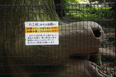 f:id:kaeru_geko:20080803214915j:image