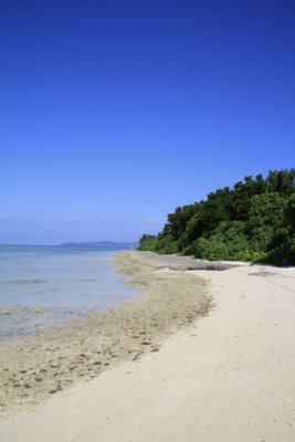 f:id:kaeru_geko:20081212231027j:image f:id:kaeru_geko:20081212231027j:image
