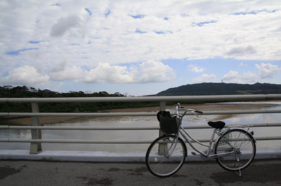 f:id:kaeru_geko:20081213220328j:image