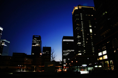 f:id:kaeru_geko:20090126020309j:image