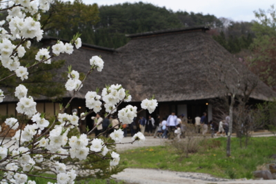 f:id:kaeru_geko:20090503134002j:image