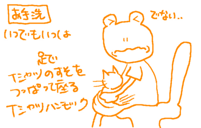f:id:kaeru_geko:20090702153922j:image