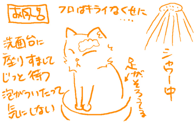 f:id:kaeru_geko:20090702153923j:image