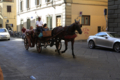 [イタリア]