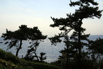 f:id:kaeru_geko:20091013233828j:image