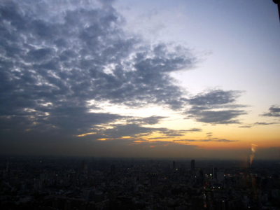 f:id:kaeru_geko:20091203191138j:image