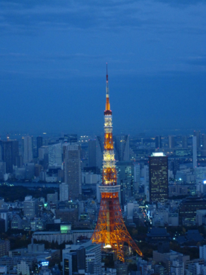 f:id:kaeru_geko:20091203191139j:image