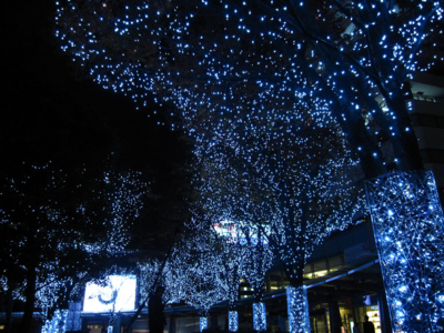 f:id:kaeru_geko:20091203191141j:image