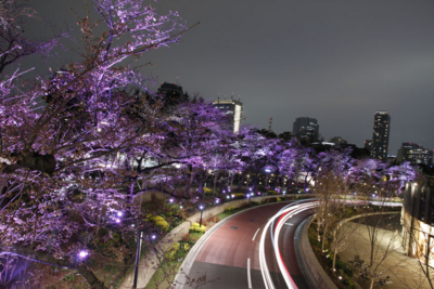 f:id:kaeru_geko:20100329002955j:image