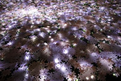 f:id:kaeru_geko:20100329002956j:image