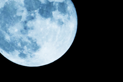 f:id:kaeru_geko:20100331000030j:image