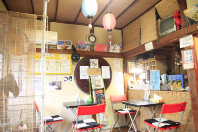 f:id:kaeru_geko:20100406222047j:image