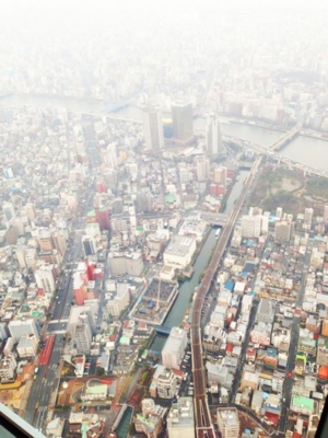 f:id:kaeru_geko:20130217010303j:image f:id:kaeru_geko:20130217010303j:image